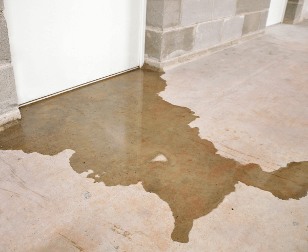 Basement flood cleanup